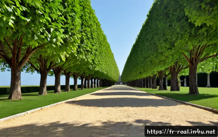 Préparer un projet professionnel en immobilier : comment choisir et utiliser efficacement ses ressources d’étude 4 공인중개사 시험 준비와 관련된 효과적인 자료 활용 방법 관련 이미지 2
